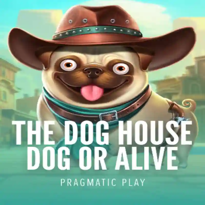 Slot Dog House Dog & Alive en pgbet Casino México